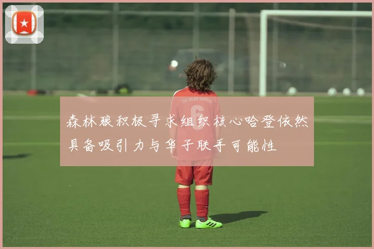 森林狼积极寻求组织核心哈登依然具备吸引力与华子联手可能性