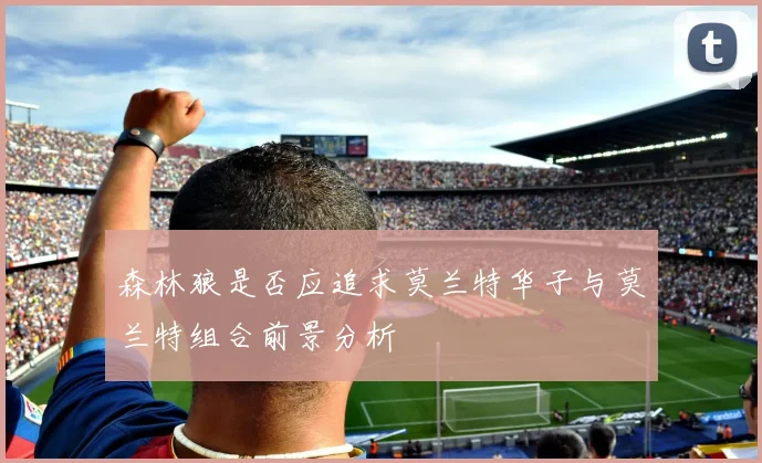 森林狼是否应追求莫兰特华子与莫兰特组合前景分析